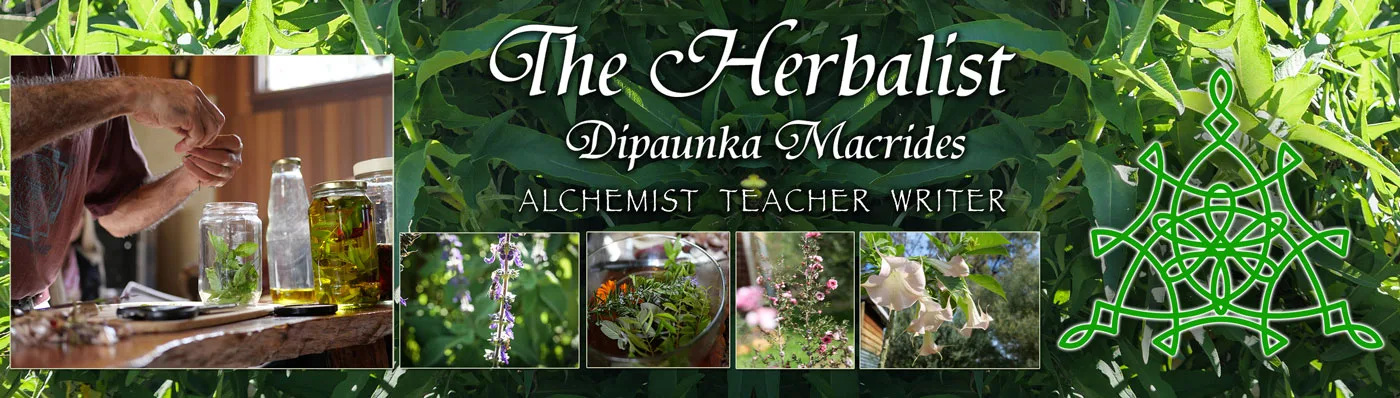 The Herbalist - Dipaunka Macrides - Alchemist, Teacher, Writer